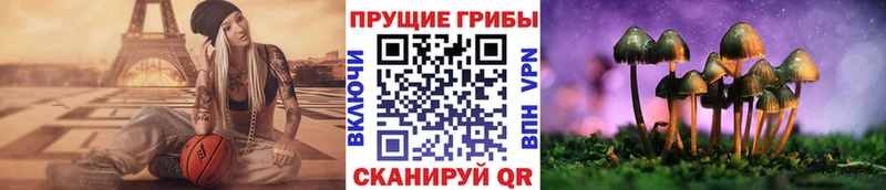 где можно купить наркотик  Славянск-на-Кубани  mega онион  Галлюциногенные грибы Cubensis 